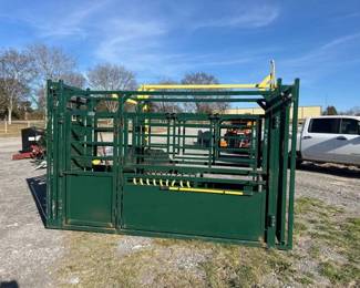 CATTLE CHUTE WITH PALPATION CAGE