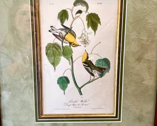Hemlock Warbler
 First Edition Octavo