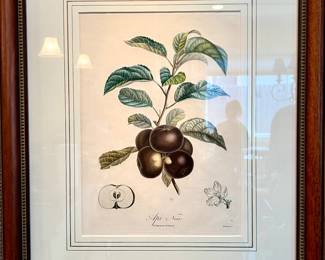Pomologie Francaise stipple-engraving, printed in colors and finished by hand with water-color engrave day Bouquet after Turpin.