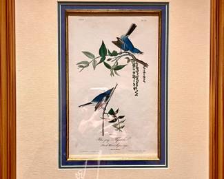 Flycatcher First Edition Octavo  MORE BIRD ART BEAUTIFULLY MATTED AND FRAMED.  Engraved, printed in colors, finished by hand with water-color.