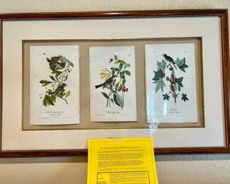 First Octavo Edition of “The Birds of America”
