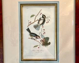 Hudsons Bay Titmouse, First Edition
Octavo