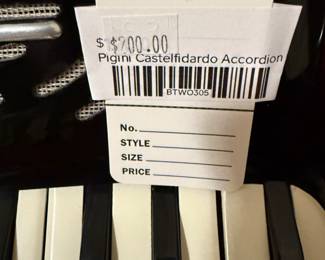 Pigini Castelfidardo Accordion
