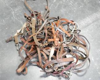 Large Lot of Assorted Horse Reins