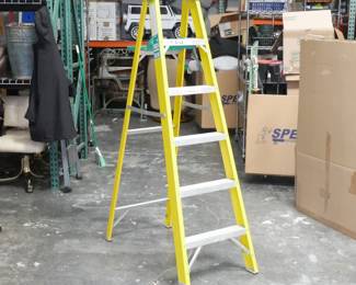 Werner Mo. FS106S 6ft Non-Conductive Fiberglass Ladder