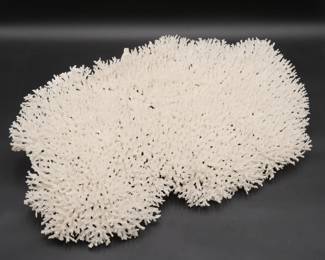 Extra Large 22" White Lace Coral Cluster