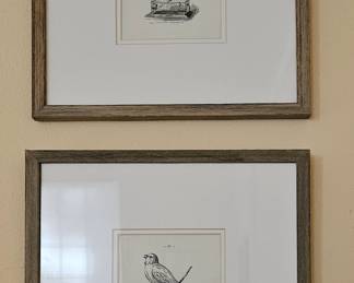 Bird & bird cage art 