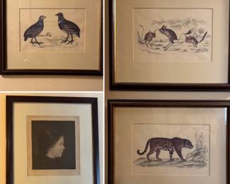 Several antique art prints and drawings