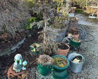 Assortment of Planters