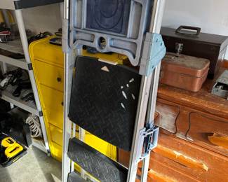 Werner Project Ladder