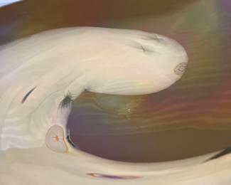 Murano Italy centerpiece bowl