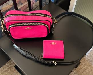 Coach purse with matching wallet. 