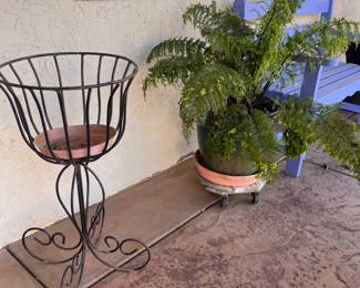 Plants and standing planter
