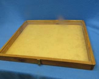 Lot 190. Display case 25"W x 2 3/4"H x 2 3/4"D
