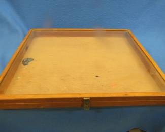 Lot 189. Display case 25"W x 2 3/4"H x 2 3/4"D