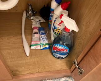 Cleaning supplies 