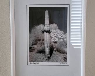 Vintage 1992 signed Palm Desert print