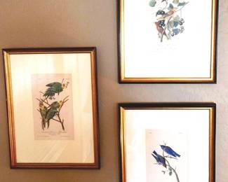 botanical birds print