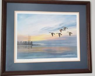 Schapekotter 1988 28/70