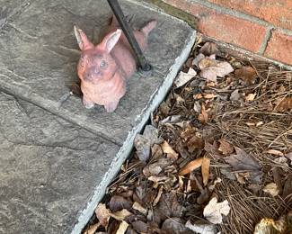 Rabbit