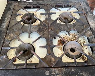 Top of stove burners