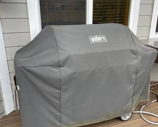 Weber Grill