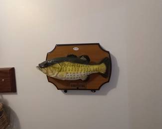 Items Located In The Laundry Room