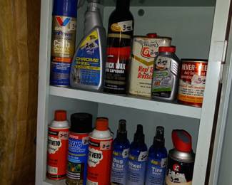 Items Located In The Garage