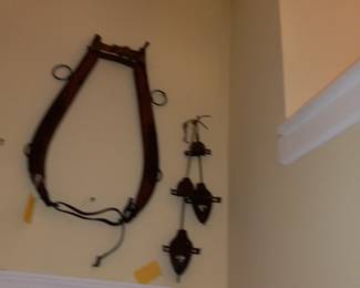 Items Located In The Dining Room