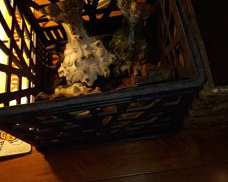 Items Located In The Living Room