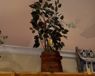 Items Located In The Kitchen