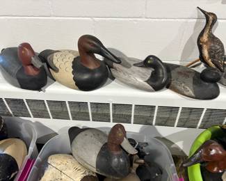 . . . a couple of great canvasbacks and buffleheads -- plover may or may not be in sale