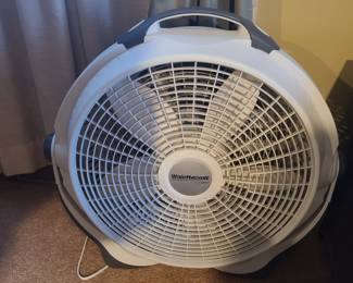 Fan