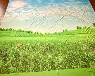 Large photography backdrop 
