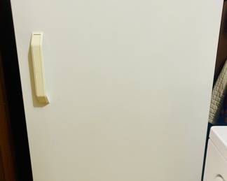 Frigidaire Upright Commercial Frost Free Freezer 