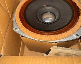 University Speaker in box