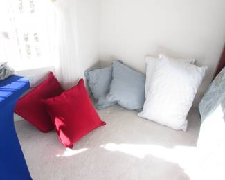 Variety of Throw Pillows