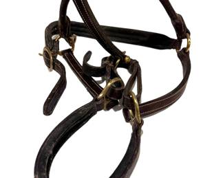 Horse Halter