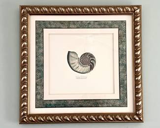 Embossed Nautilus Pompilius Art