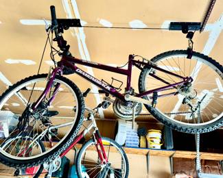 Purple Diamondback Bike 