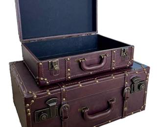 Leather Luggage