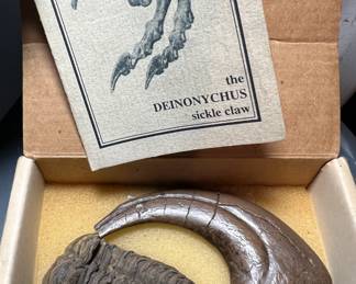 Replica Deinoychus sickle claw in original box