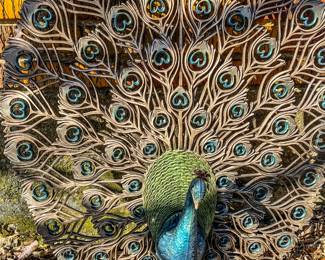 Burwood Peacock Lawn Decor