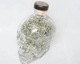 Shredded Currency in Skull shaped jar