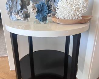 Gorgeous Blue Coral Reef & White