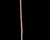 Vintage Pecan PickerUpper Grabber