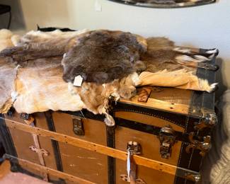 Antique trunk, animal hides
