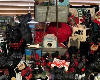 Scotties, Scotties, everywhere Scotties