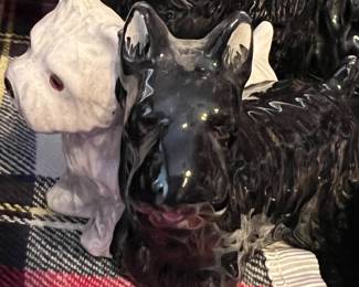 Black and White Scotties as one