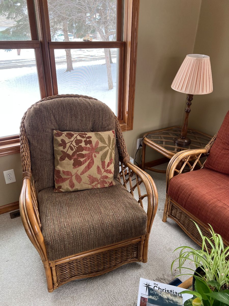 Braxton Culler Rattan Swivel Chair